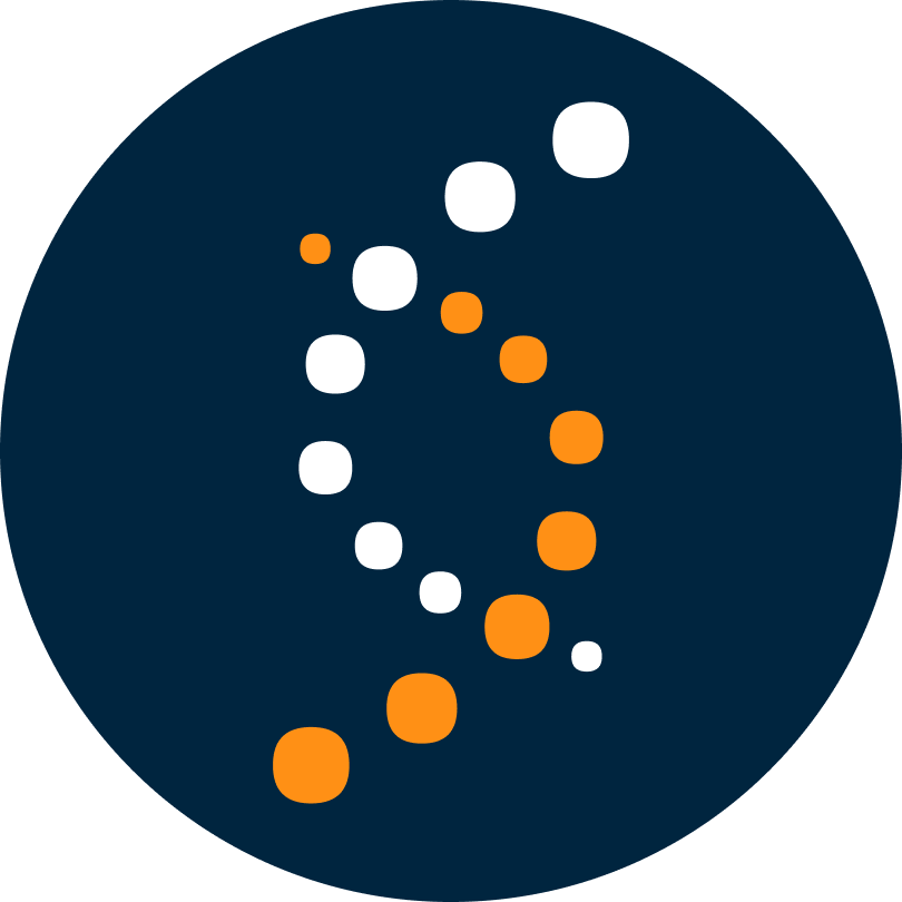 HSN Logo